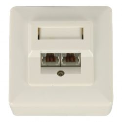 RJ45 väggskärm med 2 RJ45 nätverksanslutningar | Nedis