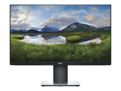 Dell 23,8" P2419H