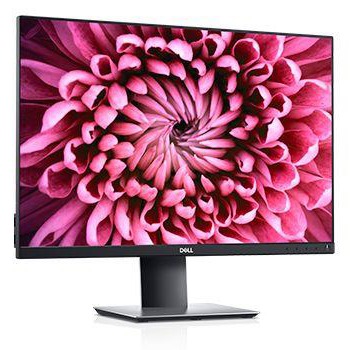 Dell 24" P2421 1920x1200